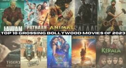 Top 10 Grossing Bollywood movies of 2023