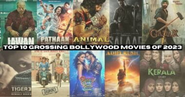 Top 10 Grossing Bollywood movies of 2023